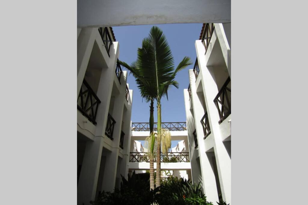 2 Bedrooms Playa Las Americas Parque Santiago I Heated Pool Playa de las Americas  Bagian luar foto